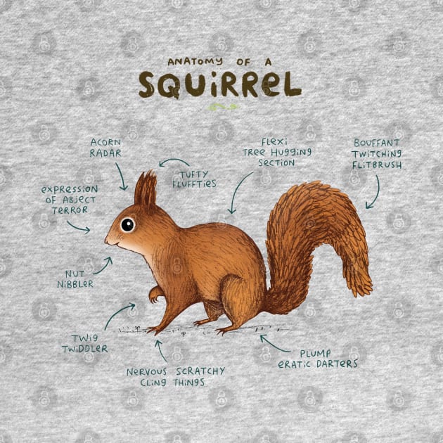 Anatomy of a Squirrel by Sophie Corrigan